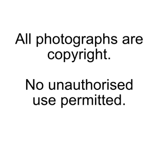 All photographs are copyright. No unauthorised use permitted.